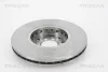 Превью - 8120 25156 TRISCAN Тормозной диск (фото 2)