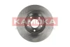 Превью - 1031007 KAMOKA Тормозной диск (фото 2)