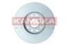 Превью - 103171 KAMOKA Тормозной диск (фото 2)