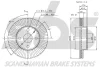 Превью - 1815204515 SBS Тормозной диск (фото 2)