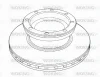 NSA1219.20 WOKING Тормозной диск
