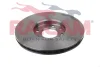 Превью - RD00107 RAICAM Тормозной диск (фото 3)