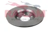 Превью - RD00405 RAICAM Тормозной диск (фото 2)