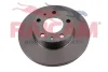 Превью - RD01067 RAICAM Тормозной диск (фото 2)