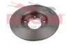 Превью - RD01222 RAICAM Тормозной диск (фото 2)