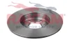 RD01265 RAICAM Тормозной диск