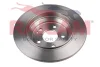 Превью - RD01296 RAICAM Тормозной диск (фото 3)