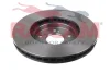 Превью - RD01389 RAICAM Тормозной диск (фото 3)