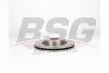 BSG 75-210-004 BSG Тормозной диск