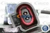 Превью - V10-8185 VAICO Комплект тормозных колодок, дисковый тормоз (фото 2)