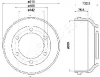 TA-0318 JAPANPARTS Тормозной барабан