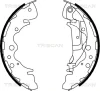 8100 18003 TRISCAN Комплект тормозных колодок