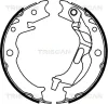 8100 21001 TRISCAN Комплект тормозных колодок