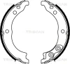 8100 10010 TRISCAN Комплект тормозных колодок, стояночная тормозная система