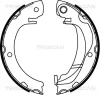 8100 13047 TRISCAN Комплект тормозных колодок, стояночная тормозная система