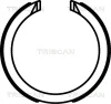 8100 21003 TRISCAN Комплект тормозных колодок, стояночная тормозная система