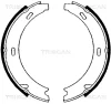 8100 23552 TRISCAN Комплект тормозных колодок, стояночная тормозная система