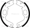 8100 42015 TRISCAN Комплект тормозных колодок, стояночная тормозная система