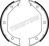 019.027 TRUSTING Комплект тормозных колодок, стояночная тормозная система