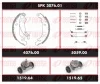 SPK 3076.01 REMSA Комплект тормозов, барабанный тормозной механизм