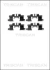 8105 101641 TRISCAN Комплектующие, колодки дискового тормоза