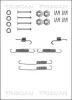 8105 162541 TRISCAN Комплектующие, тормозная колодка