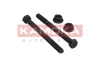 Превью - 9110001 KAMOKA Монтажный комплект, рычаг независимой подвески колеса (фото 2)