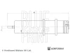 Превью - ADBP230041 BLUE PRINT Топливный фильтр (фото 3)