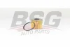 BSG 65-130-010 BSG Топливный фильтр