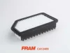 CA12489 FRAM Воздушный фильтр