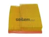 CA5948 FRAM Воздушный фильтр