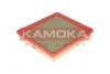 F216901 KAMOKA Воздушный фильтр
