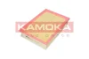 F229501 KAMOKA Воздушный фильтр