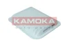 F246501 KAMOKA Воздушный фильтр