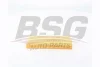 BSG 15-135-022 BSG Воздушный фильтр