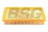 BSG 40-135-007 BSG Воздушный фильтр