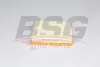 BSG 60-135-018 BSG Воздушный фильтр