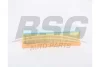 BSG 60-135-024 BSG Воздушный фильтр