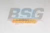BSG 75-135-021 BSG Воздушный фильтр