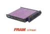 CFP9691 FRAM Фильтр, воздух во внутренном пространстве