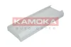 F408801 KAMOKA Фильтр, воздух во внутренном пространстве