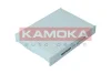 F419201 KAMOKA Фильтр, воздух во внутренном пространстве