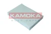 F419401 KAMOKA Фильтр, воздух во внутренном пространстве