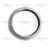 550369 WXQP Уплотнительное кольцо, труба выхлопного газа