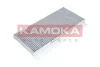 F506801 KAMOKA Фильтр, воздух во внутренном пространстве