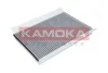 F509001 KAMOKA Фильтр, воздух во внутренном пространстве