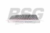 BSG 30-145-020 BSG Фильтр, воздух во внутренном пространстве