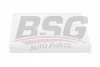 BSG 40-145-008 BSG Фильтр, воздух во внутренном пространстве