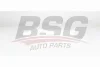 BSG 60-145-032 BSG Фильтр, воздух во внутренном пространстве