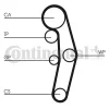 Превью - CT1028WP8 CONTINENTAL CTAM Водяной насос + комплект зубчатого ремня (фото 2)